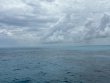 Tuesday July 15th 2025 Tropical Odyssey: North Dry Rocks reef report photo 1