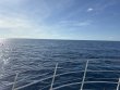 Monday July 21st 2025 Tropical Odyssey: Spiegel Grove reef report photo 1