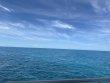 Monday July 21st 2025 Tropical Odyssey: Christ Statue reef report photo 1
