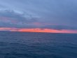 Tuesday July 22nd 2025 Tropical Odyssey: Fire Coral Cave reef report photo 1