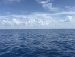 Monday July 28th 2025 Tropical Odyssey: Spiegel Grove reef report photo 1