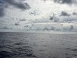 Sunday August 10th 2025 Tropical Odyssey: USCGC Duane reef report photo 1