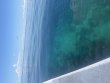 Monday September 15th 2025 Tropical Odyssey: Minnow Cave reef report photo 1