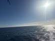 Friday September 19th 2025 Tropical Odyssey: Spiegel Grove reef report photo 1
