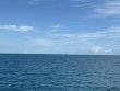Friday September 19th 2025 Tropical Odyssey: Christ Statue reef report photo 1