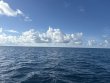 Sunday September 21st 2025 Tropical Odyssey: USCGC Duane reef report photo 1