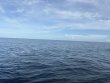Monday October 6th 2025 Tropical Odyssey: USCGC Duane reef report photo 1