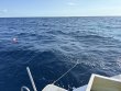 Sunday December 7th 2025 Tropical Odyssey: USCGC Duane reef report photo 1