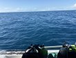 Sunday December 7th 2025 Tropical Odyssey: Spiegel Grove reef report photo 1
