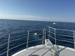 Sunday December 28th 2025 Tropical Odyssey: Spiegel Grove reef report photo 1