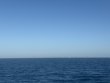 Monday December 29th 2025 Tropical Odyssey: Spiegel Grove reef report photo 1
