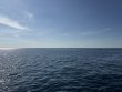 Wednesday January 1st 2025 Tropical Serenity: Conch Ledge reef report photo 1