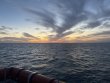 Thursday January 2nd 2025 Tropical Serenity: Nine Channel reef report photo 1