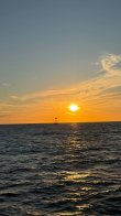 Tuesday February 4th 2025 Tropical Serenity: Nine Channel reef report photo 1