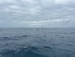 Monday February 24th 2025 Tropical Serenity: Nine Channel reef report photo 1