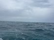 Monday February 24th 2025 Tropical Serenity: Banana Patch reef report photo 1