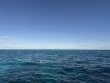 Thursday February 27th 2025 Tropical Serenity: Hole in the Wall reef report photo 1