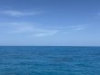 Sunday May 18th 2025 Tropical Serenity: Christ Statue reef report photo 1