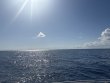 Monday May 19th 2025 Tropical Serenity: Spiegel Grove reef report photo 1