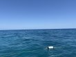 Monday May 19th 2025 Tropical Serenity: Benwood Wreck reef report photo 1
