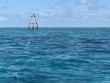 Wednesday May 21st 2025 Tropical Serenity: Molasses Reef reef report photo 1