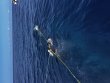 Saturday May 24th 2025 Tropical Serenity: USCGC Duane reef report photo 1