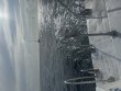 Sunday June 1st 2025 Tropical Serenity: Hole in the Wall reef report photo 1