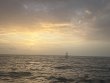 Thursday June 5th 2025 Tropical Serenity: Eagle Ray Alley reef report photo 1
