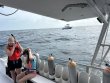 Thursday June 12th 2025 Tropical Serenity: Molasses Reef reef report photo 1