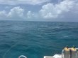 Thursday June 12th 2025 Tropical Serenity: Snapper Ledge reef report photo 1