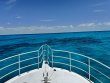 Saturday July 26th 2025 Tropical Serenity: Fire Coral Cave reef report photo 1