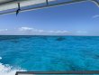Saturday July 26th 2025 Tropical Serenity: Fire Coral Cave reef report photo 3