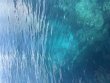 Sunday August 17th 2025 Tropical Serenity: Spanish Anchor reef report photo 1