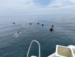 Monday September 15th 2025 Tropical Serenity: Molasses Reef reef report photo 1