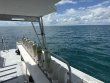 Saturday September 20th 2025 Tropical Serenity: Benwood Wreck reef report photo 1