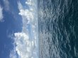 Tuesday September 23rd 2025 Tropical Serenity: Winch Hole reef report photo 1