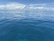 Sunday October 12th 2025 Tropical Serenity: Hard Bottom Cave reef report photo 1