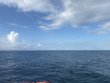 Monday October 20th 2025 Tropical Serenity: JJs Cave reef report photo 1
