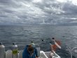 Sunday November 2nd 2025 Tropical Serenity: Snapper Ledge reef report photo 1