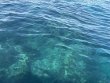 Friday November 7th 2025 Tropical Serenity: Christ Statue reef report photo 1