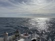 Tuesday November 11th 2025 Tropical Serenity: Eagle Ray Alley reef report photo 1