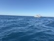 Sunday November 23rd 2025 Tropical Serenity: Spiegel Grove reef report photo 1