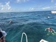 Wednesday November 26th 2025 Tropical Serenity: Christ Statue reef report photo 1