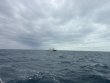 Friday November 28th 2025 Tropical Serenity: Eagle Ray Alley reef report photo 1