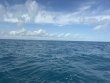 Tuesday December 2nd 2025 Tropical Serenity: Benwood Wreck reef report photo 1