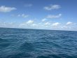 Friday December 5th 2025 Tropical Serenity: HourGlass reef report photo 1