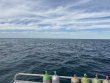 Friday December 12th 2025 Tropical Serenity: Christ Statue reef report photo 1