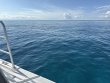 Sunday December 14th 2025 Tropical Serenity: Christ Statue reef report photo 1