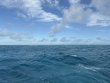 Thursday December 18th 2025 Tropical Serenity: Nine Channel reef report photo 1