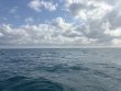 Saturday December 20th 2025 Tropical Serenity: Five Caves reef report photo 1